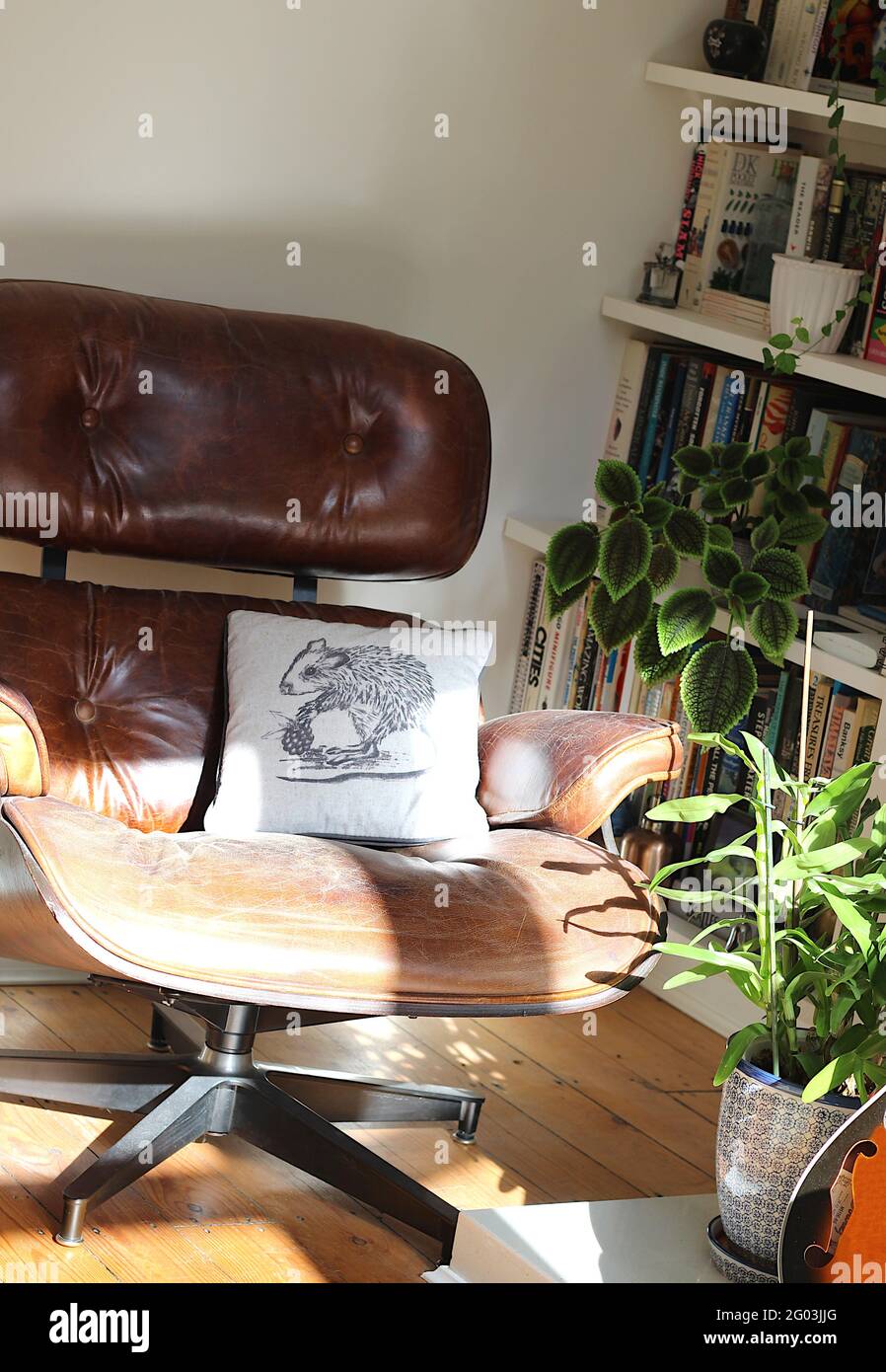 Cozy Corner – ein Sessel aus braunem Leder, der Eames nachempfunden ist und von Büchern und Pflanzen umgeben ist Stockfoto