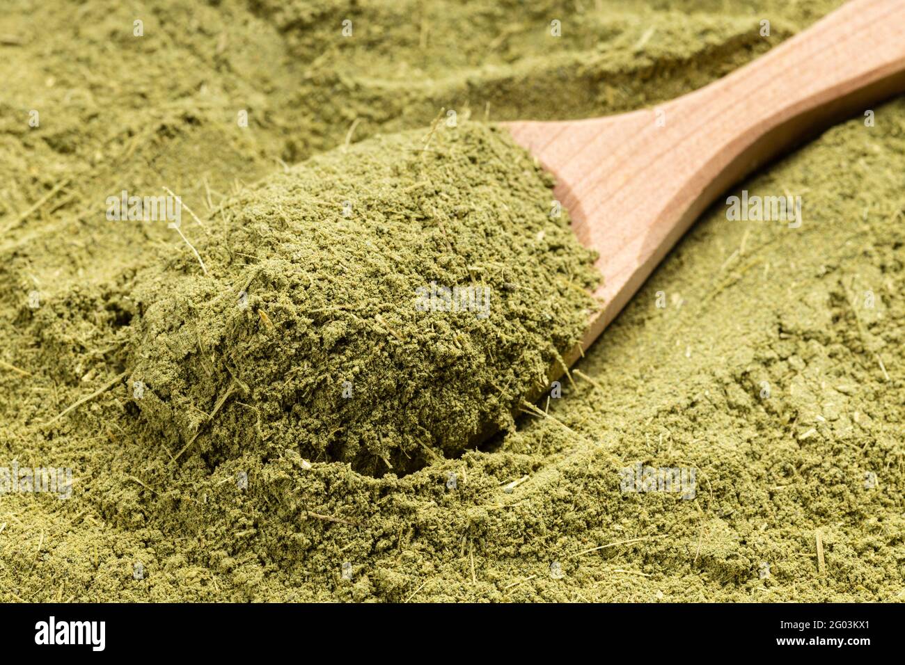 Oben Ansicht von Holzlöffel mit gefrästen Stevia rebaudiana Kraut (Natürlicher Zuckerersatz) Nahaufnahme des Zuckerstapels Stockfoto
