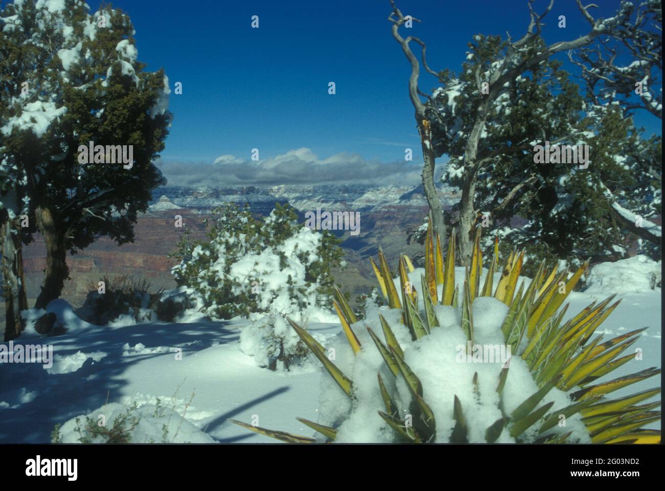 Grand Canyon, Winterschnee Stockfoto