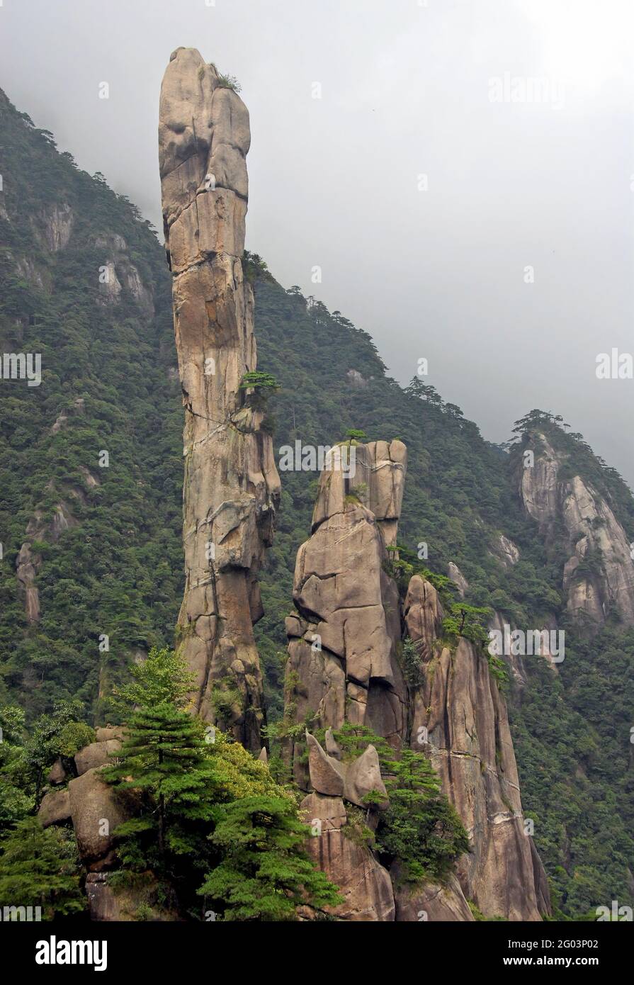Der Berg Sanqingshan in der Provinz Jiangxi, China. Blick auf Snake Rock oder Python Rock, eine Felsenspitze auf dem Mount Sanqing. Stockfoto