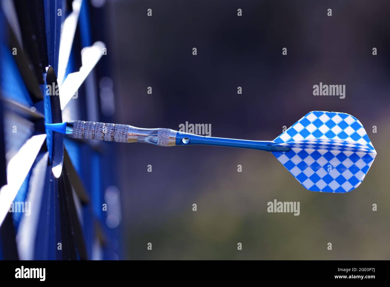 Blauer Pfeil trifft in der Zielmitte. Stockfoto