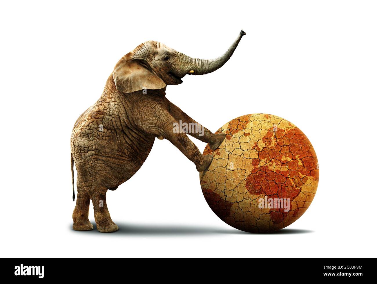 Einsamer Elefant mit trockenem Planeten Erde isoliert auf weißem Hintergrund. Konzept für den Klimawandel und die globale Erwärmung. Stockfoto