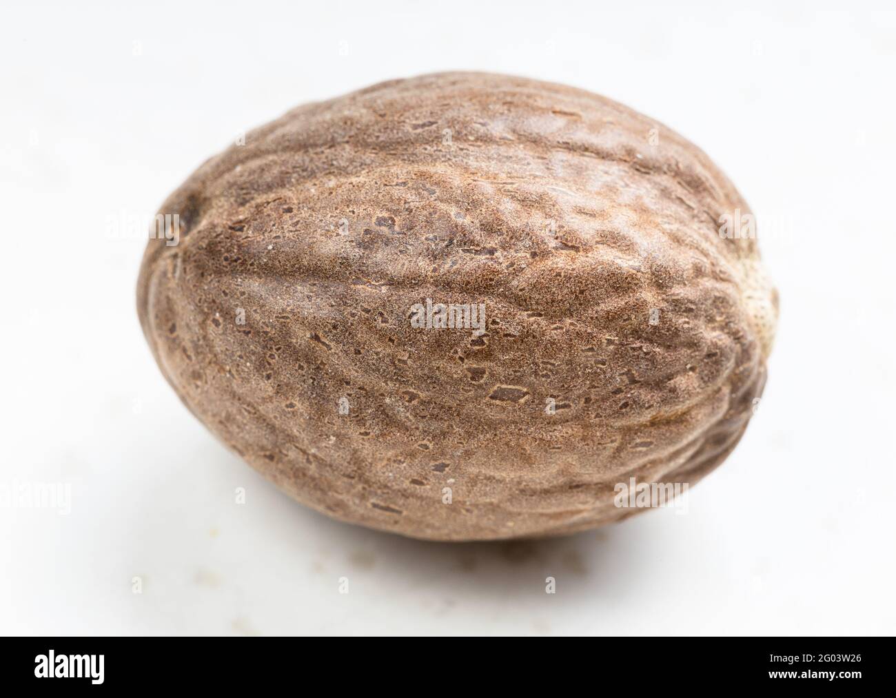 Einzelne ganze Muskatnuss-Frucht Nahaufnahme auf grauer Keramikplatte Stockfoto