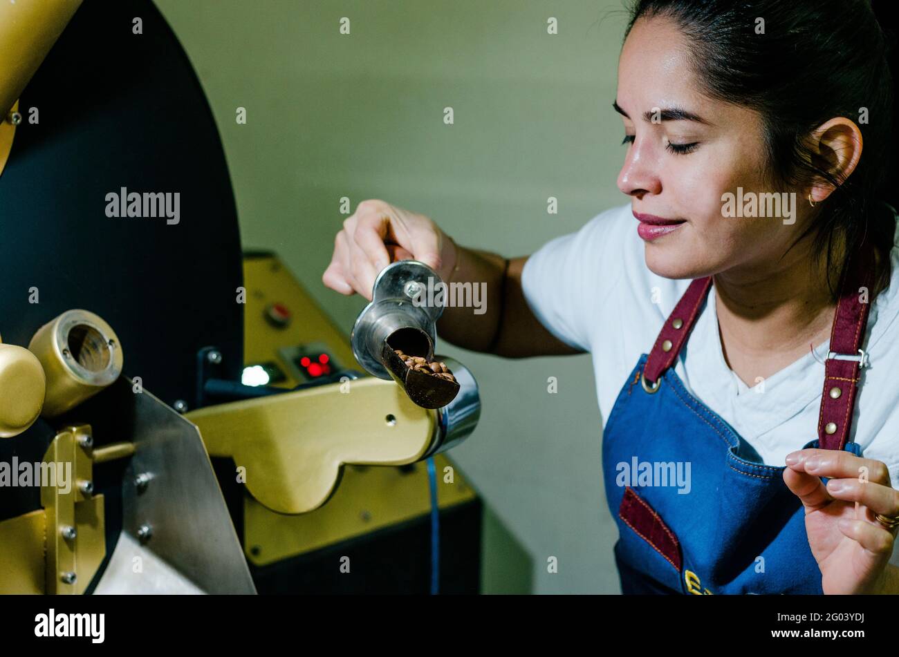 Die Hände einer Frau rösten die aromatischen Kaffeebohnen des Kaffees auf einer modernen Maschine, die zum Rösten von Bohnen verwendet wird. Stockfoto