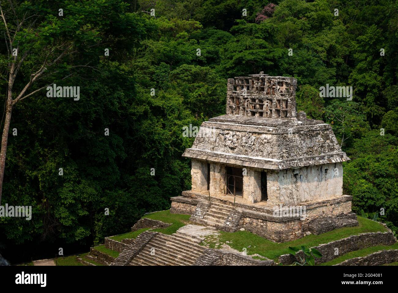 Blick auf eine Pyramide in der antiken Maya-Stadt Palenque, Chiapas, Mexiko. Stockfoto Blick auf eine Pyramide in der antiken Maya-Stadt Palenque, Chiapas, Mexiko. Stockfoto
