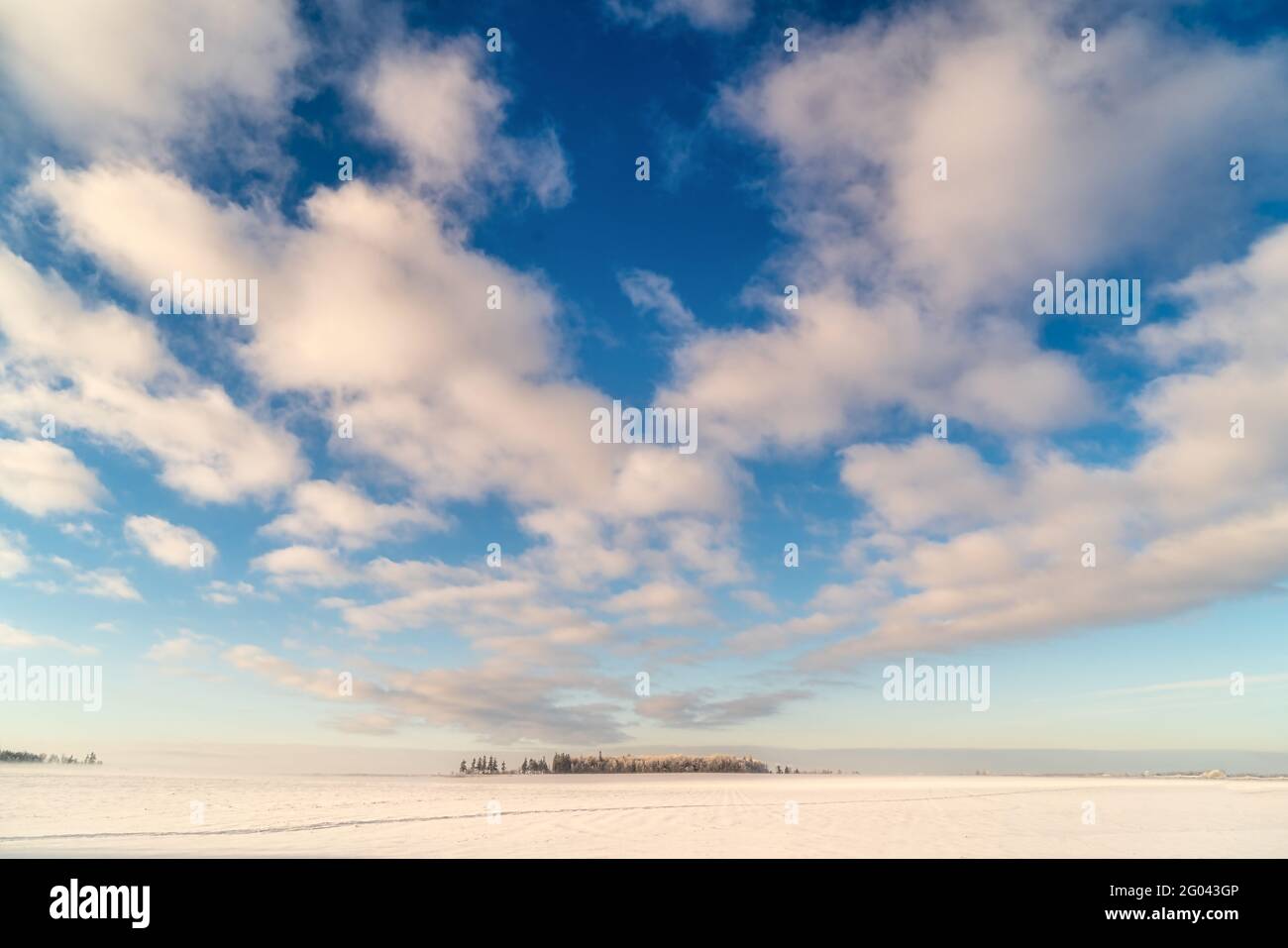 Großer Himmel über einem Winterfeld auf der ländlichen Prince Edward Island, Kanada. Stockfoto