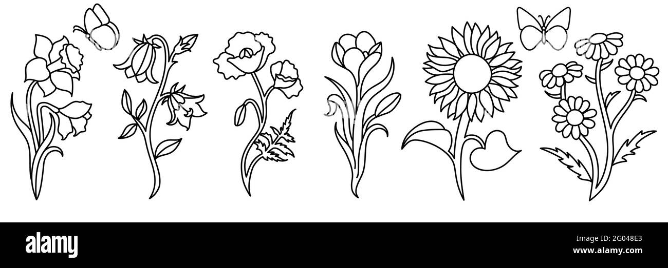 Wildblumen in einem handgezeichneten Linie Art-Stil. Stock Vektor