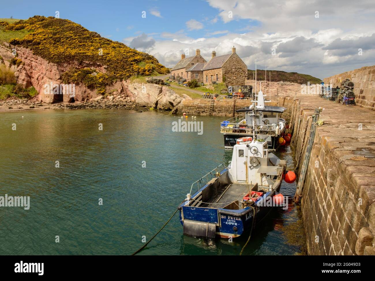 Cove Harbour, Schottland, Großbritannien Stockfoto