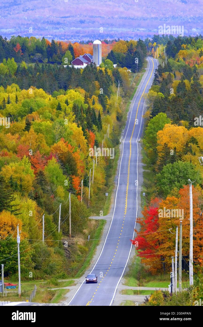 KANADA; QUEBEC; HERBSTFÄRBUNG; LANDSTRASSEN; FARMEN; RTE 253 IN DER NÄHE DER US-GRENZE Stockfoto