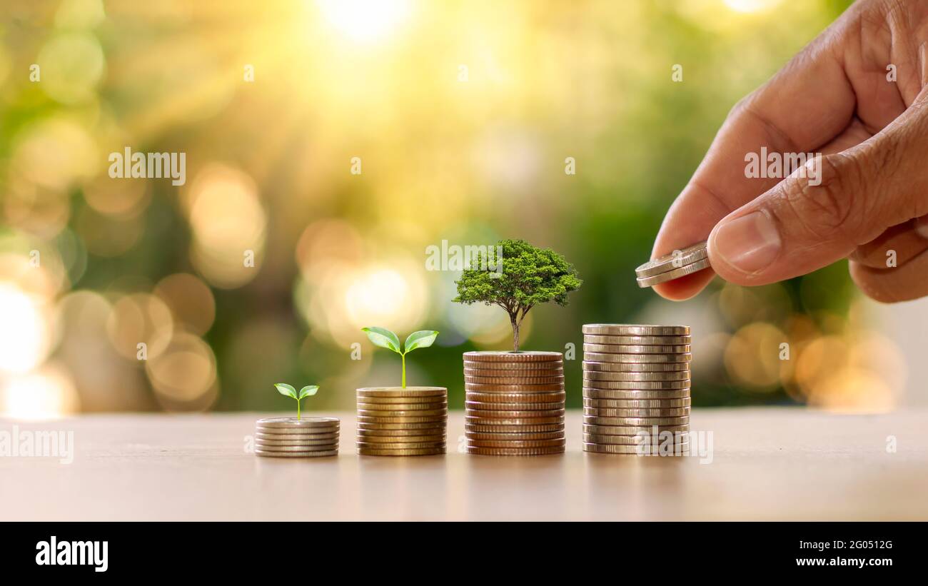 Geldwachstumsidee mit einem Münzstapel mit einem kleinen Baum, der auf einer Münze wächst und einem Blatt, das eine Münze hält. Stockfoto