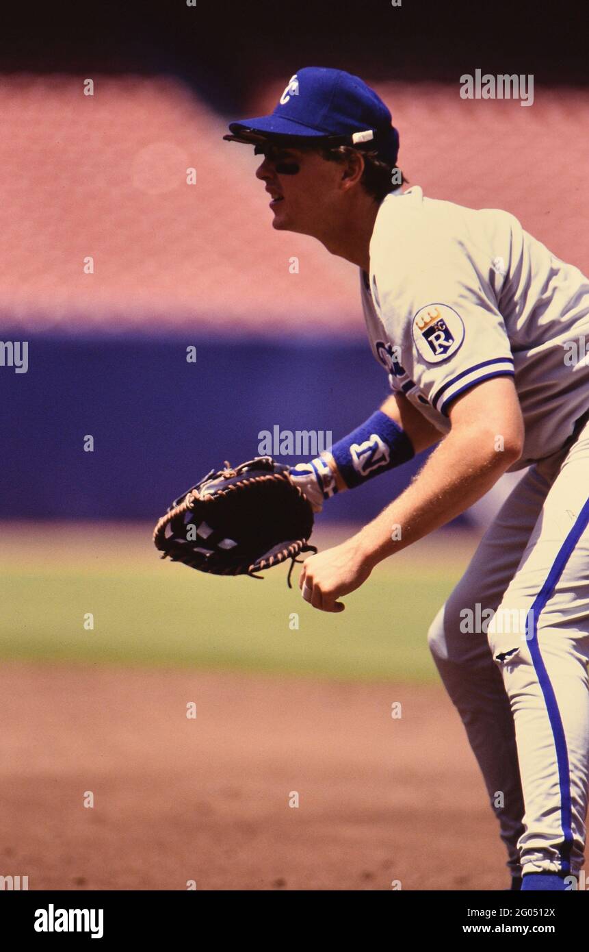 Kansas City Royals First Basemen Wally Joyner -- Bitte schreiben Sie der Fotografin Kirk Schlea eine Gutschrift Stockfoto