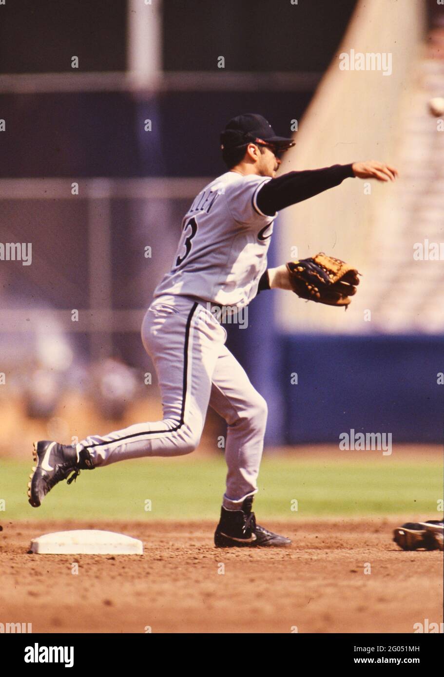 White Sox Shortstop Ozzie Guillen -- Bitte schreiben Sie der Fotografin Kirk Schlea eine Gutschrift Stockfoto