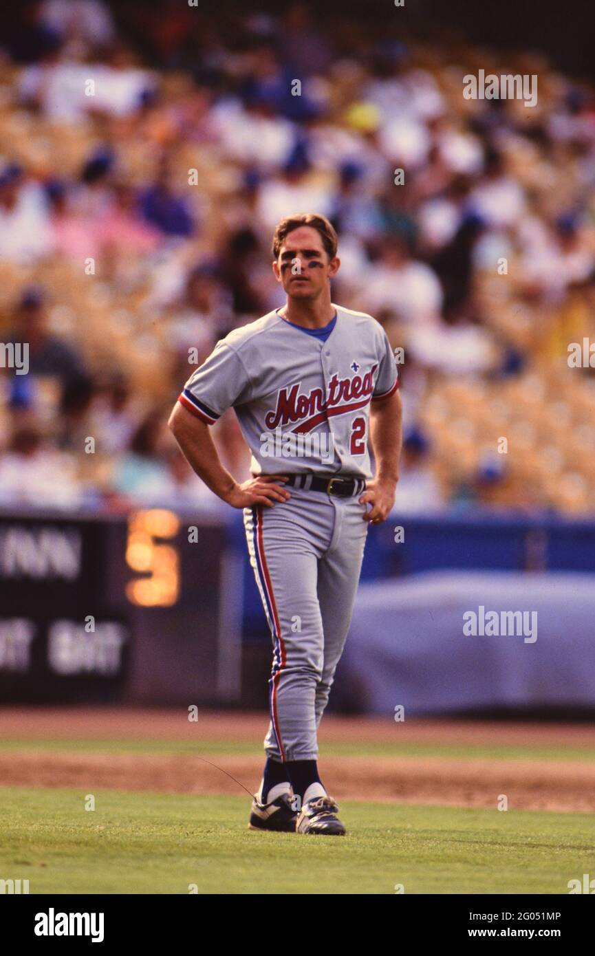 Montreal Expos Baseballspieler Bret Barberie (IF) ca. 1992-- Bitte schreiben Sie der Fotografin Kirk Schlea eine Gutschrift Stockfoto