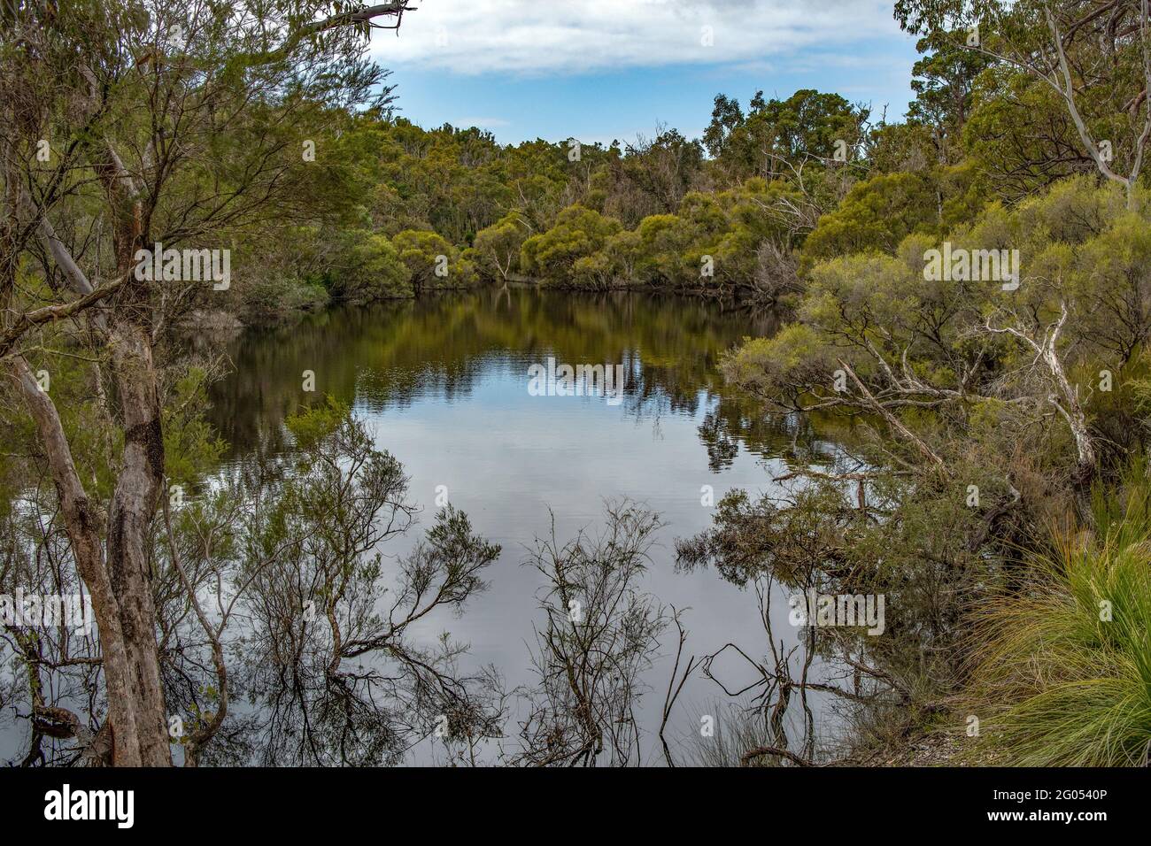 See in Ton State Forest, WA, Australien Stockfoto