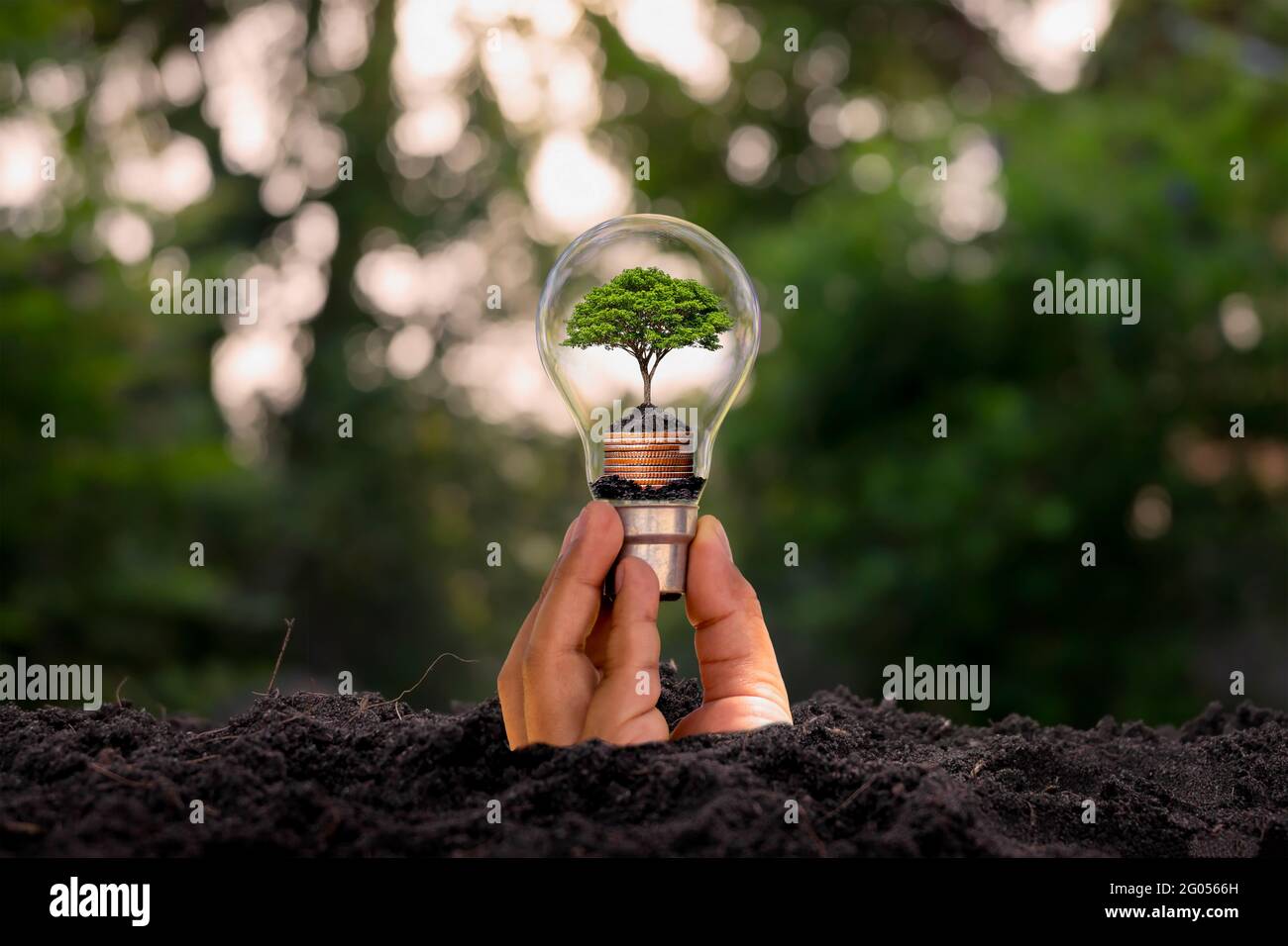 Die Hand, die aus dem Boden entstanden ist, darunter ein kleiner Baum, der in einer energiesparenden Glühbirne wächst, ein energiesparendes und umweltverträglicheres CO Stockfoto