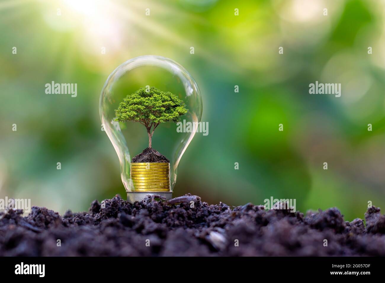 Baum wächst in Glühbirnen, Energiespar- und Umweltkonzepten am Earth Day. Stockfoto