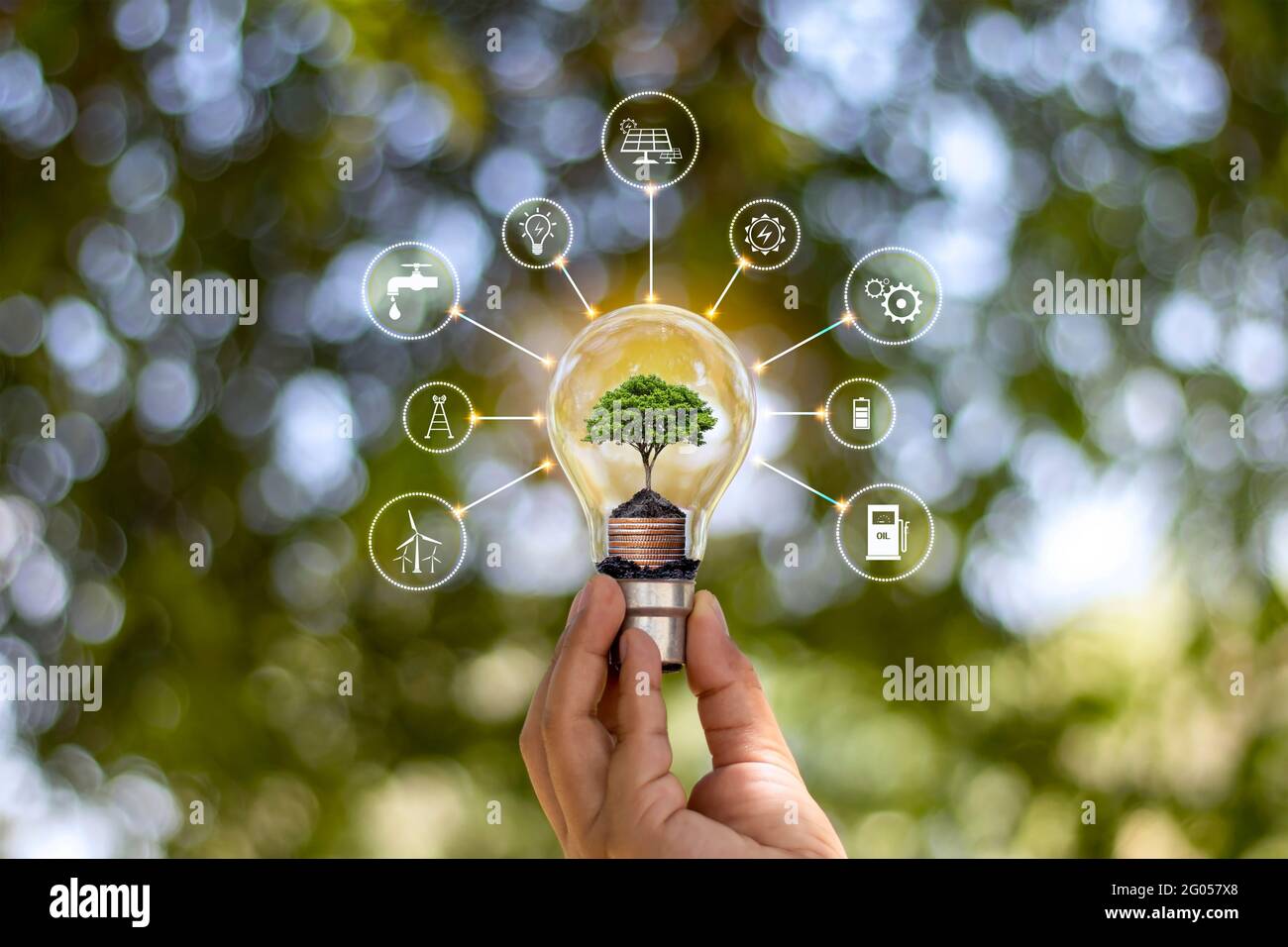 Der Baum wächst in der menschlichen Hand Energiesparlampe und Energiesparsymbol Konzept der Energieeinsparung und umweltfreundlichen Energieverbrauch. Stockfoto