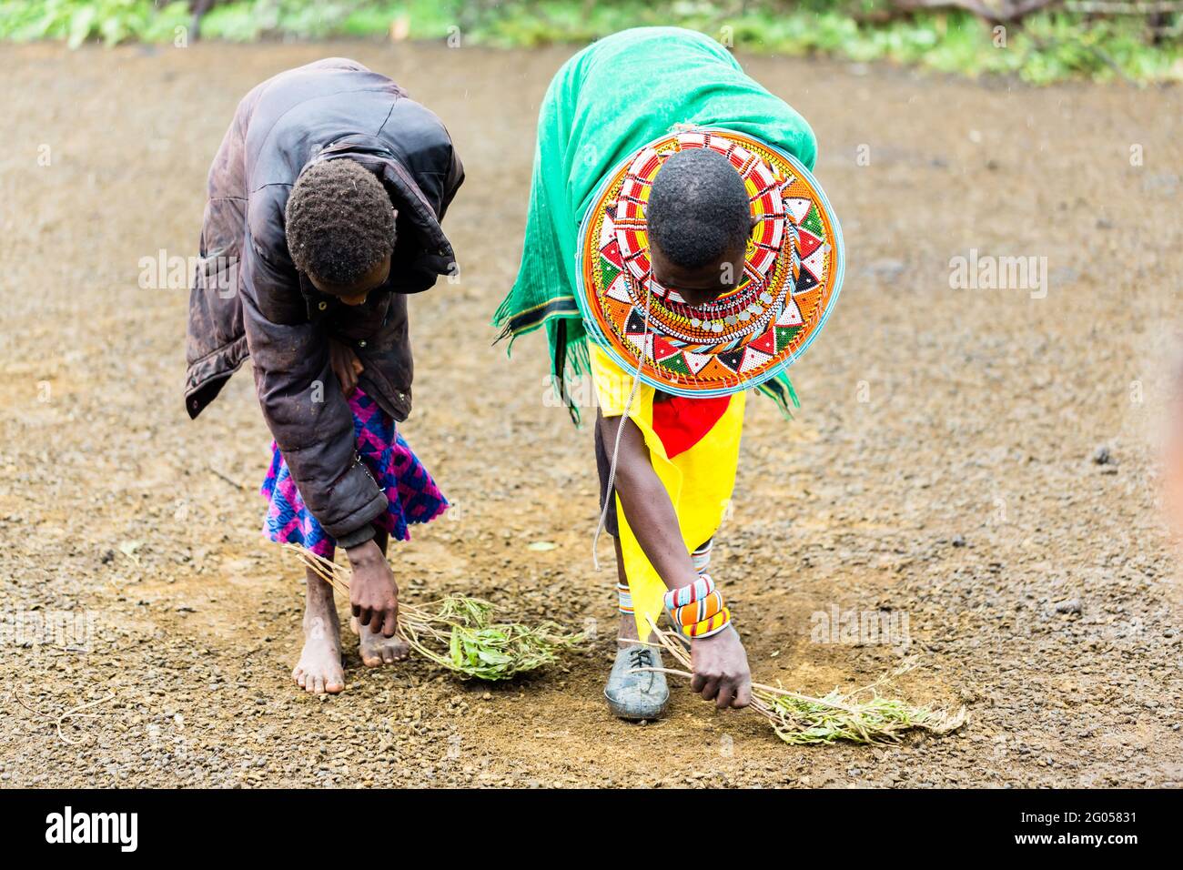 Massai Frauen Fegen des Fußbodens tun Chores Stockfoto