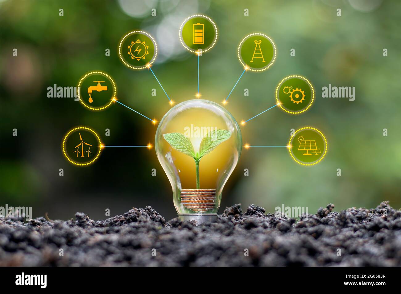 Der Münzbaum, der in Energiesparlampen wächst, enthält Energiesparsymbole, Energiesparideen und einen umweltfreundlichen Energieverbrauch. Stockfoto