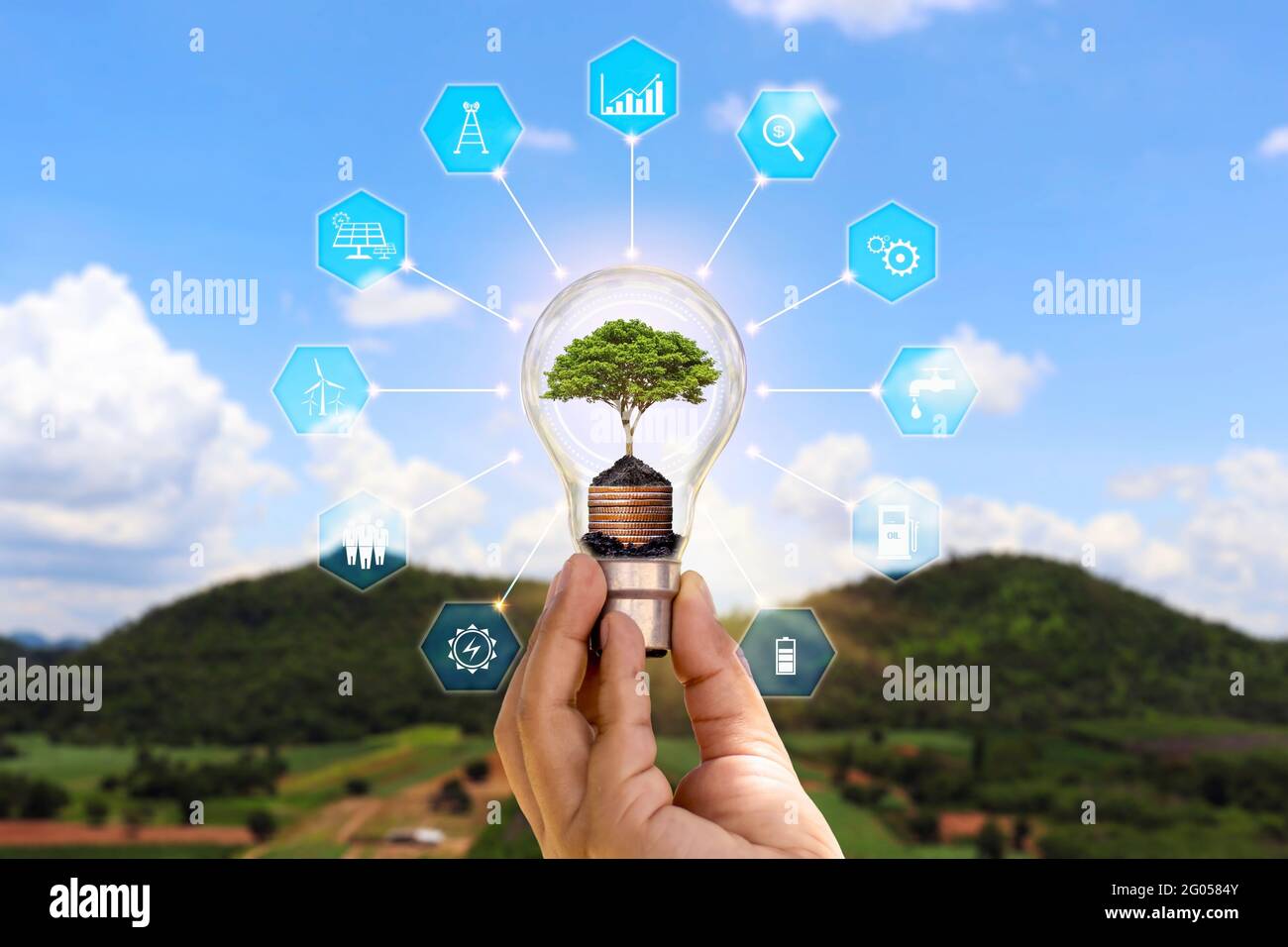 Der Baum wächst in der menschlichen Hand Energiesparlampe und Energiesparsymbol Konzept der Energieeinsparung und umweltfreundlichen Energieverbrauch. Stockfoto