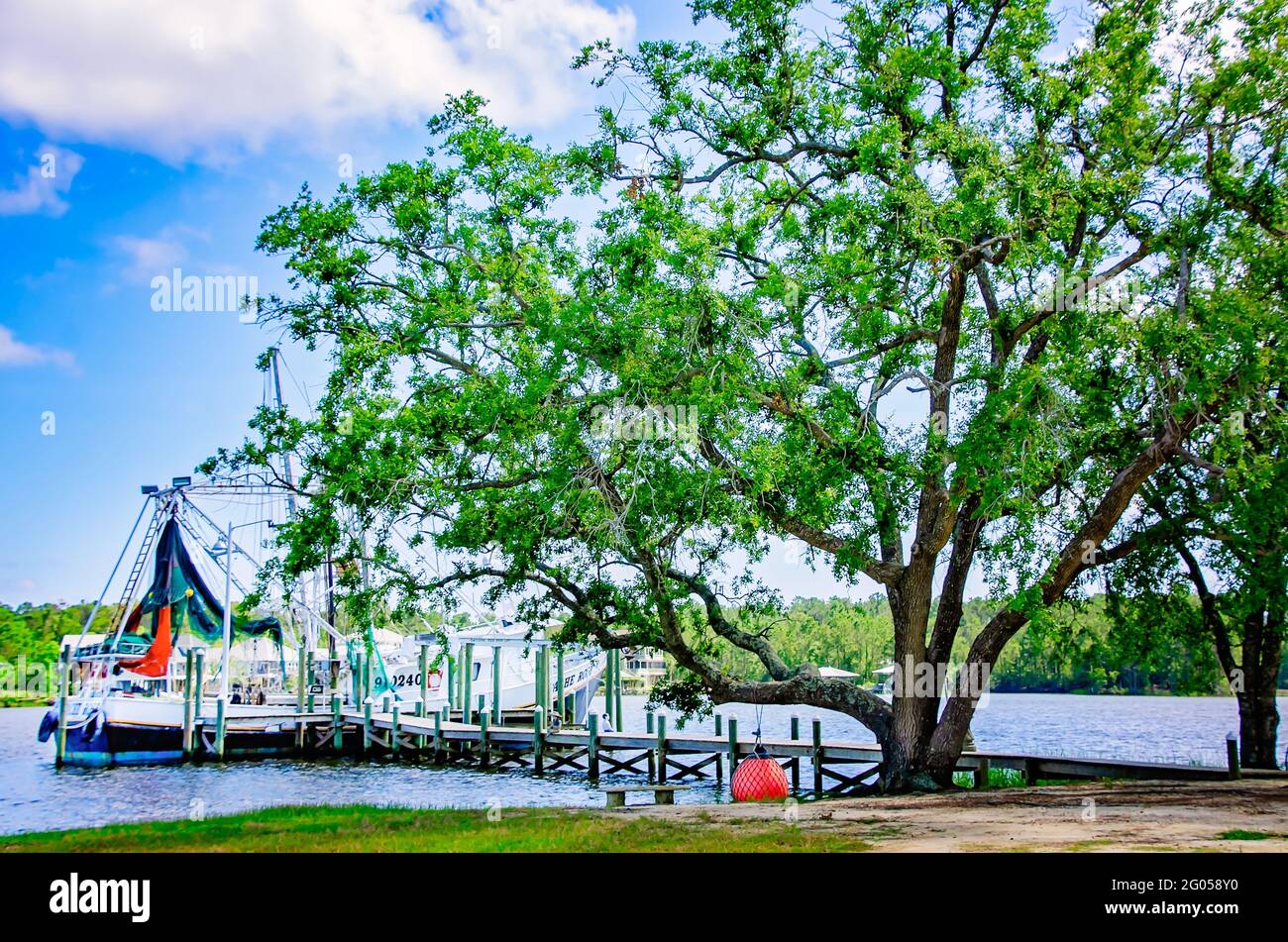 Ein Garnelenboot ist am 27. Mai 2021 in Bon Secour, Alabama, am Bon Secour River angedockt. Stockfoto