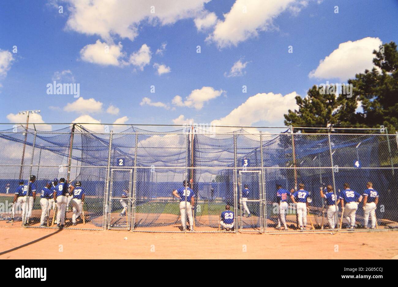 Major League Baseballspieler in Schlagkäfigen während des Frühjahrstrainings -- Bitte schreiben Sie der Fotografin Kirk Schlea Anerkennung Stockfoto
