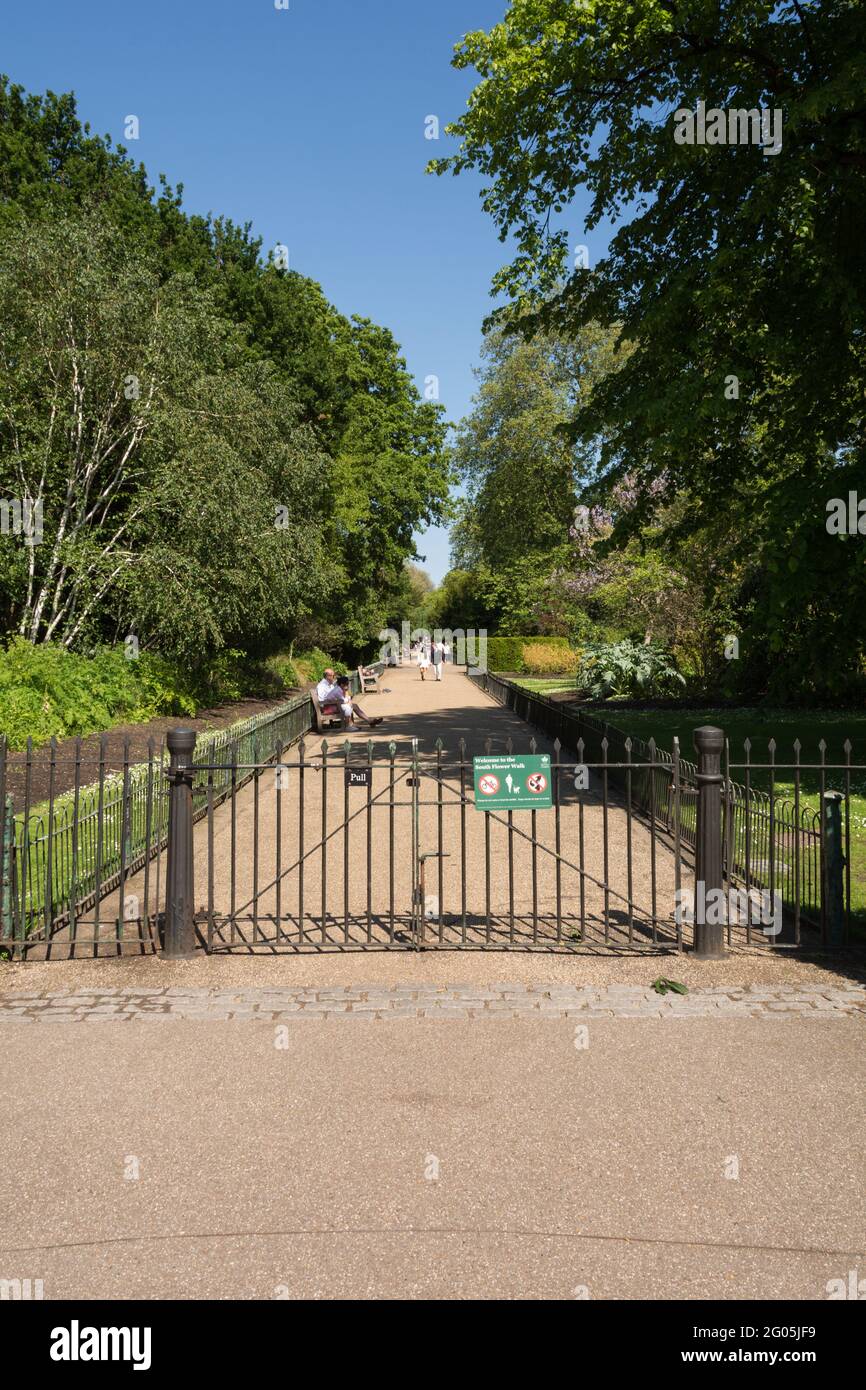 The South Flower Walk, Kensington Gardens, Kensington, London, W8, England, Großbritannien Stockfoto