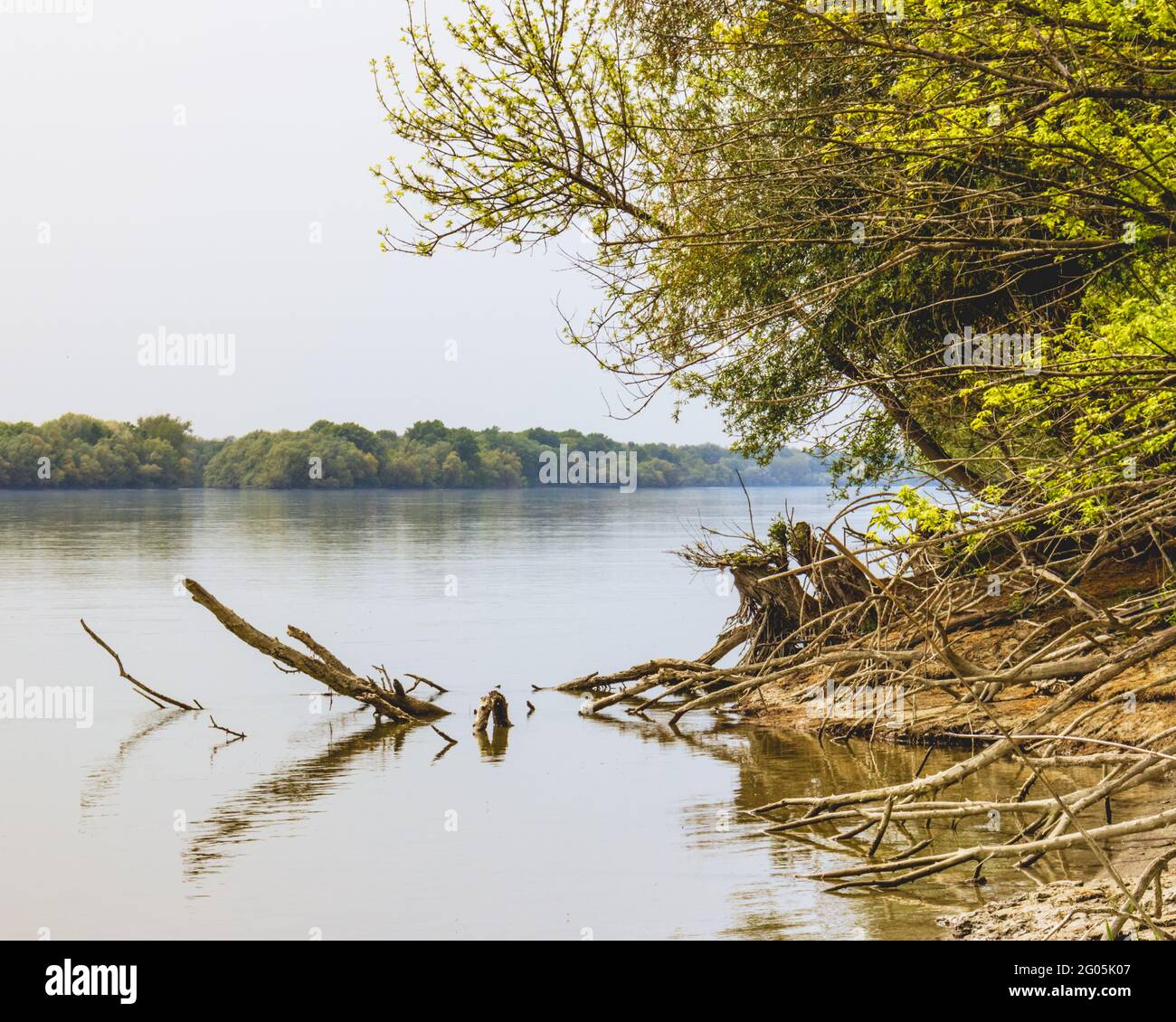Donauufer in Serbien in der Nähe von Backa Palanka Stockfoto