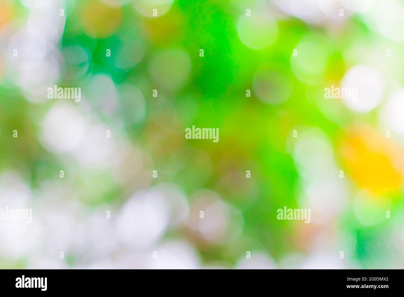 Farbe kreisförmiger hellgrüner Bokeh-Hintergrund Stockfoto