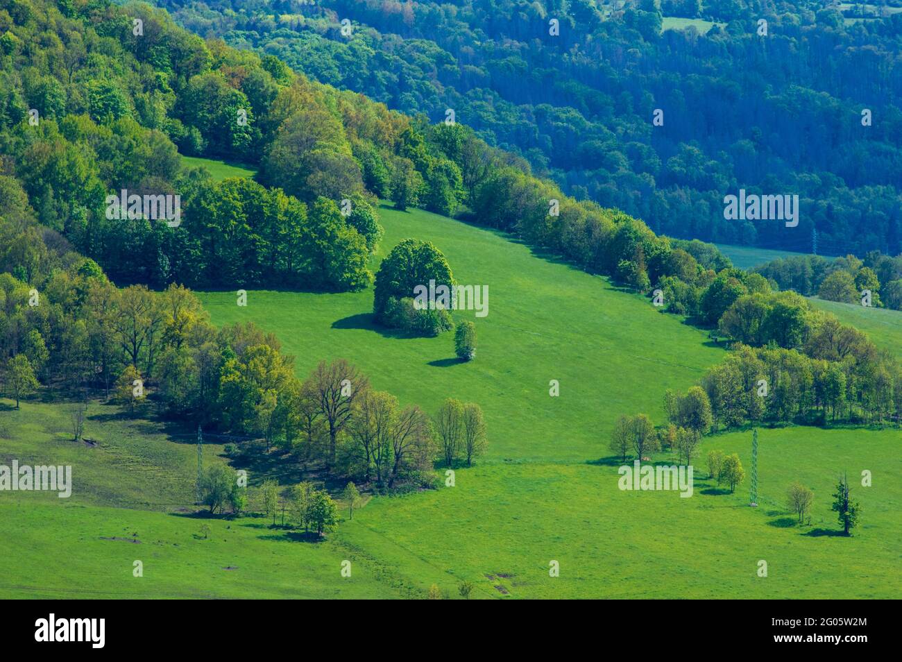 Blick in die hügelige Landschaft mit Weiden, Heckenreihen und Bäumen Stockfoto