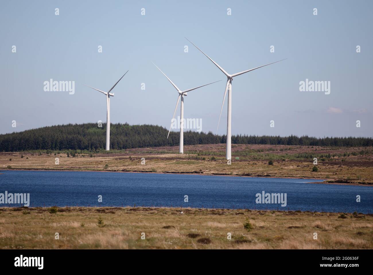 Whitelee Windfarm in East Renfrewshire, Schottland, im Besitz von Scottish Power Stockfoto