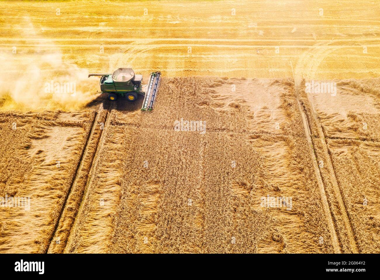 Ernte Weizenkorn im Sommer Feld. Harvester kombinieren in einer Wolke aus Staub glüht von der untergehenden Sonne. Luftaufnahme von oben Stockfoto