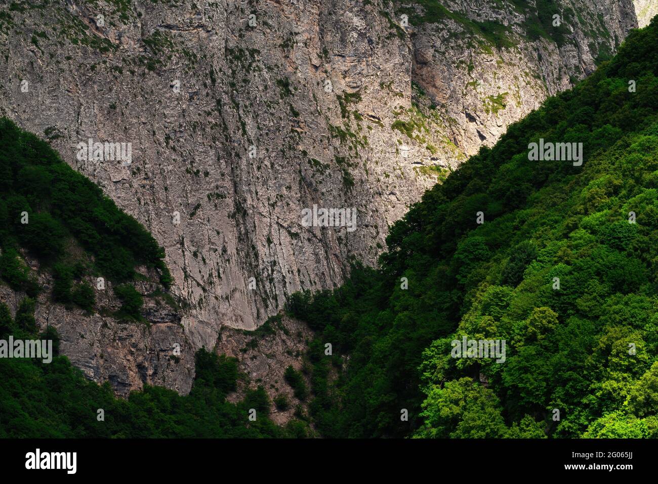 Bergschlucht mit steilen Hängen bewachsen mit Wald Stockfoto