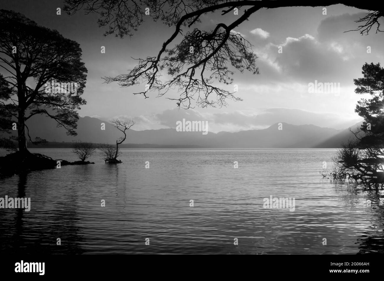 Schwarz-Weiß-Bild von Lough Leane, County Kerry, Irland - John Gollop Stockfoto