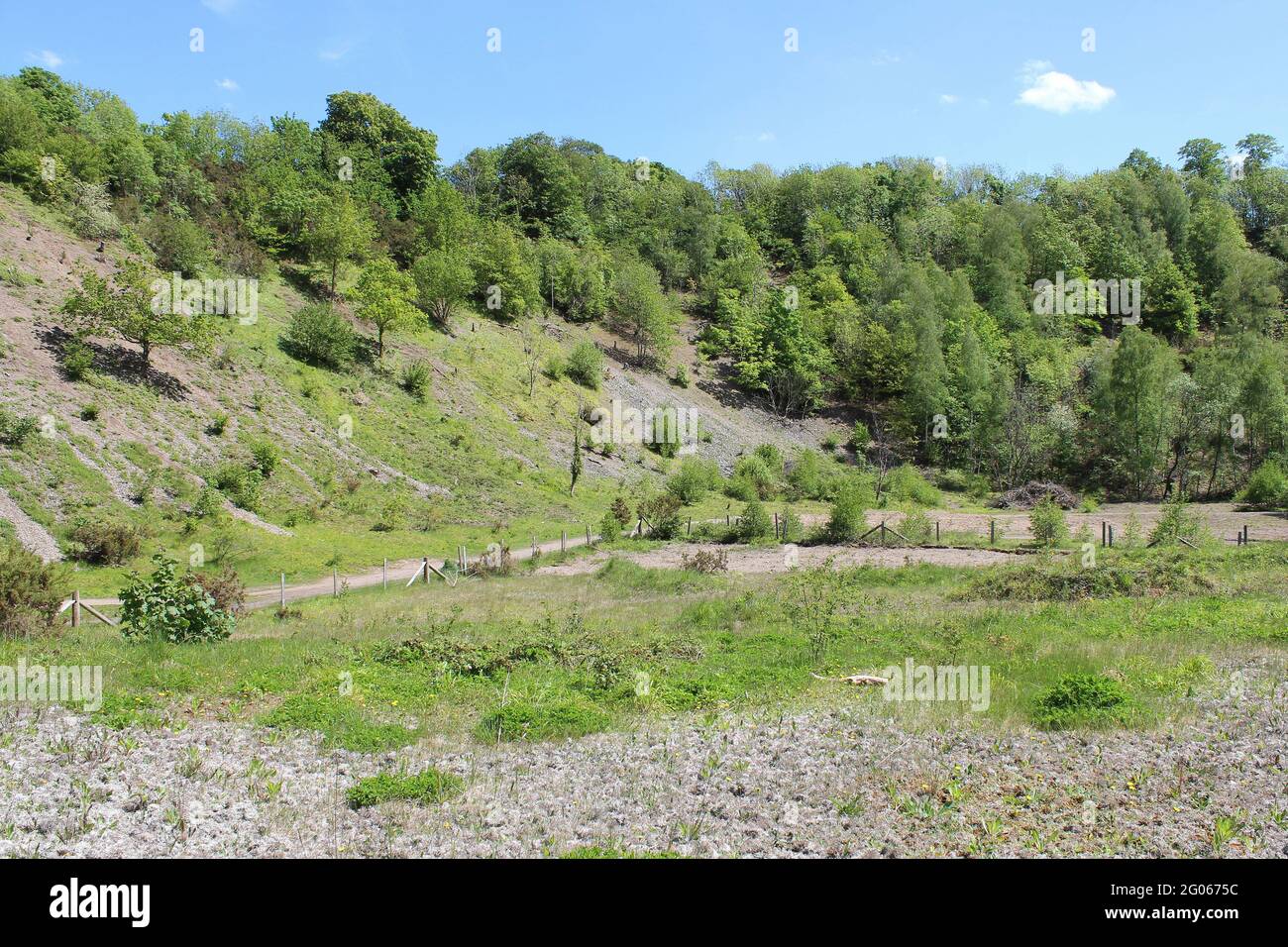 Marford Quarry, ein Naturschutzgebiet des North Wales Wildlife Trust und SSSI in der Nähe von Wrexham, Clywd, Wales, Großbritannien Stockfoto