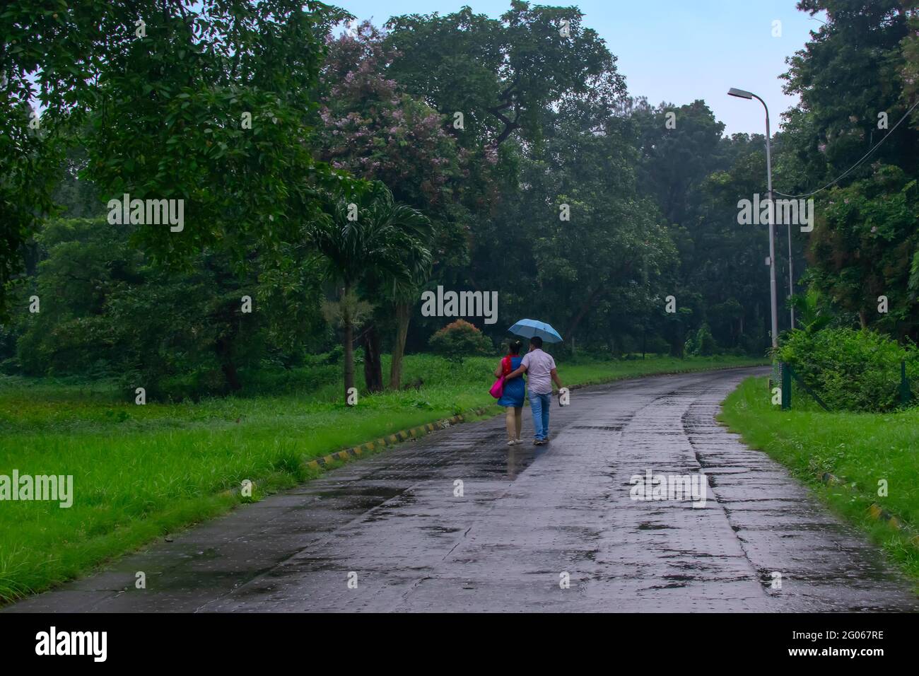 Romantisches Paar mit einem blauen Regenschirm, der in der Natur die Straße entlang läuft, konzeptuelles Stockbild der Regenzeit, Kalkutta, Westbengalen. Monsun o Stockfoto