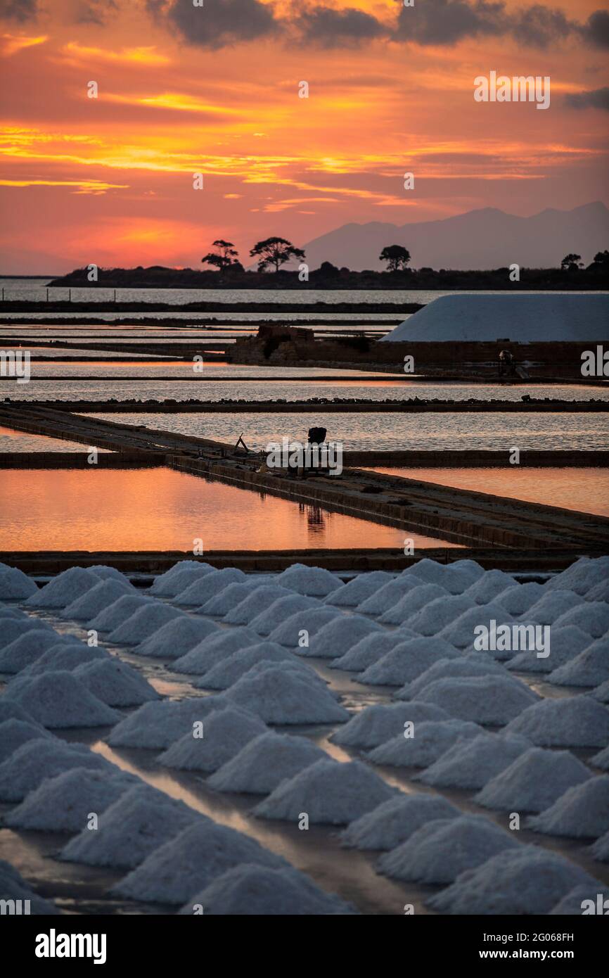 Salzwerke bei Sonnenuntergang, Saline von Trapani, Windmühle, Naturschutzgebiet, Stagnone von Marsala, Sizilien, Italien, Europa Stockfoto