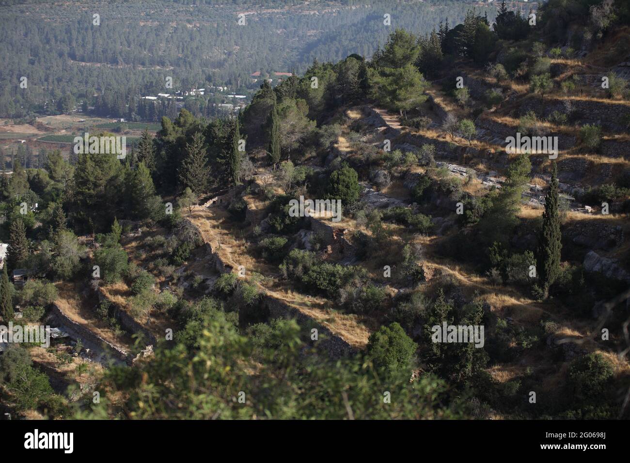 Alte Landwirtschaft, Blick auf Terrassen an den Hängen der Judäischen Hügel von den alten Israeliten gebaut, um zu verlangsamen fließendes Regenwasser Bodenerosion zu stoppen. Stockfoto