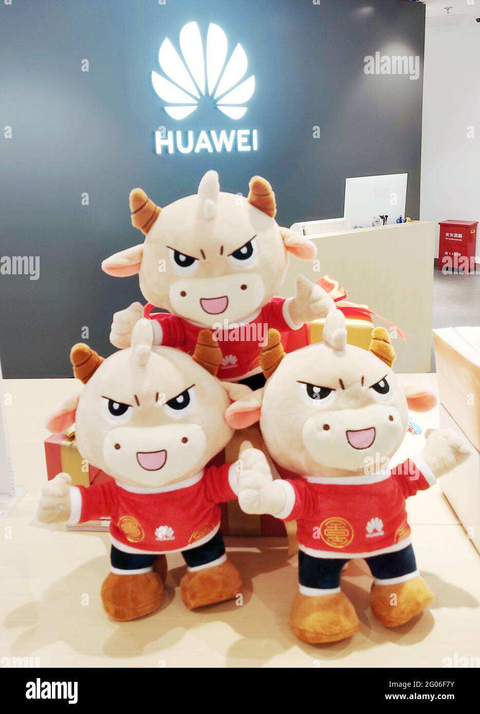 SHANGHAI, CHINA - 9. FEBRUAR 2021 - Maskottchen und 5G-Logo für das Jahr des Ochsen im Huawei-Flaggschiff-Smartphone-Store in Shanghai, 9. Februar 2021. Am 1. Juni 2021 wurde bekannt gegeben, dass Huawei von Italien eine bedingte Genehmigung zur Teilnahme am Aufbau seines 5G-Netzes in Europa erhalten hatte. (Foto von Xing Yun / Costfoto/Sipa USA) Stockfoto