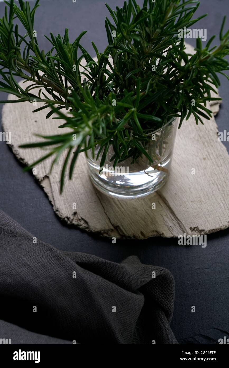 Glas mit frischem Rosmarin auf schwarzem Schiefergrund, Italien, Europa Stockfoto