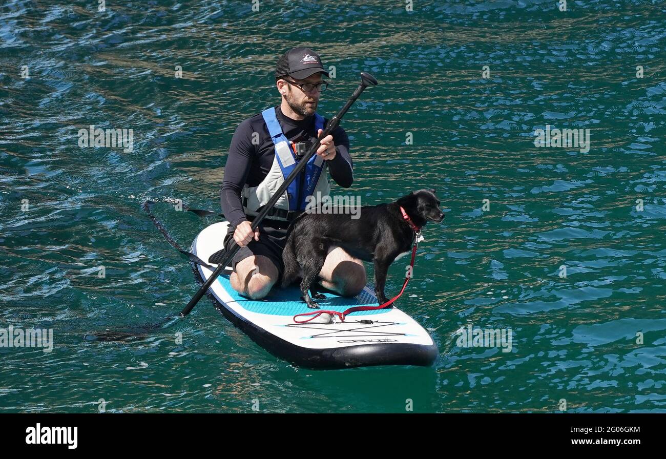 Eine Person paddelt mit ihrem Hund am ersten Tag des meteorologischen Sommers im Meer in der Nähe der Durdle Door in Dorset. Bilddatum: Dienstag, 1. Juni 2021. Stockfoto