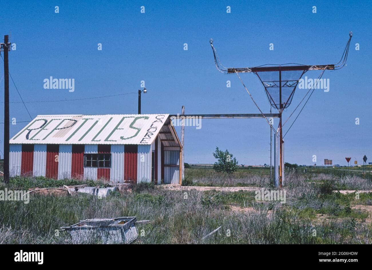 1980er Jahre Amerika - Reptile Galore, östlich von McLean, Texas 1982 Stockfoto