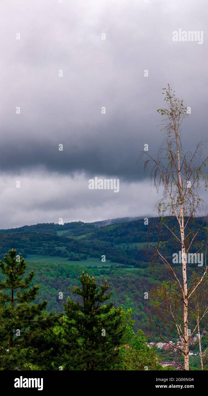 Starke Regenwolken bedecken die Spitze eines Hügels. Blick über die Gipfel von Fichten und Birken Stockfoto