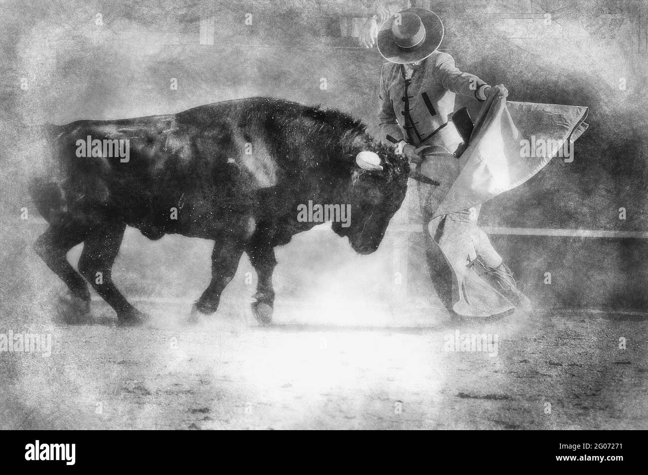 Kampf Stier Bild aus Spanien. Schwarze Bulle Schwarz-Weiß-Zeichnung Stockfoto