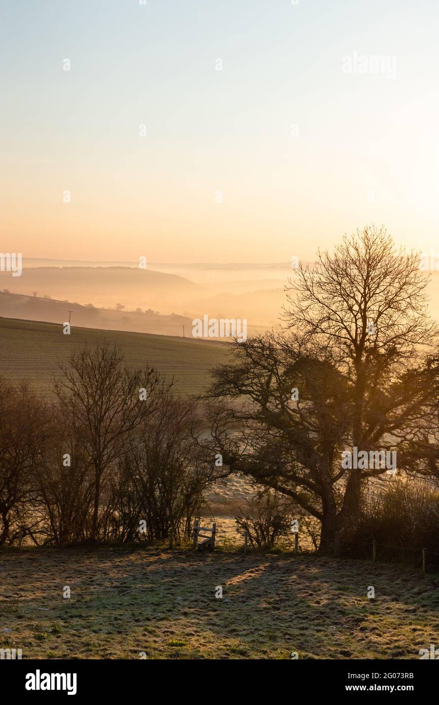 Ein nebliger, frostiger Morgen mit Blick auf das Tal des Flusses Lyd in der Nähe von Launceston Stockfoto