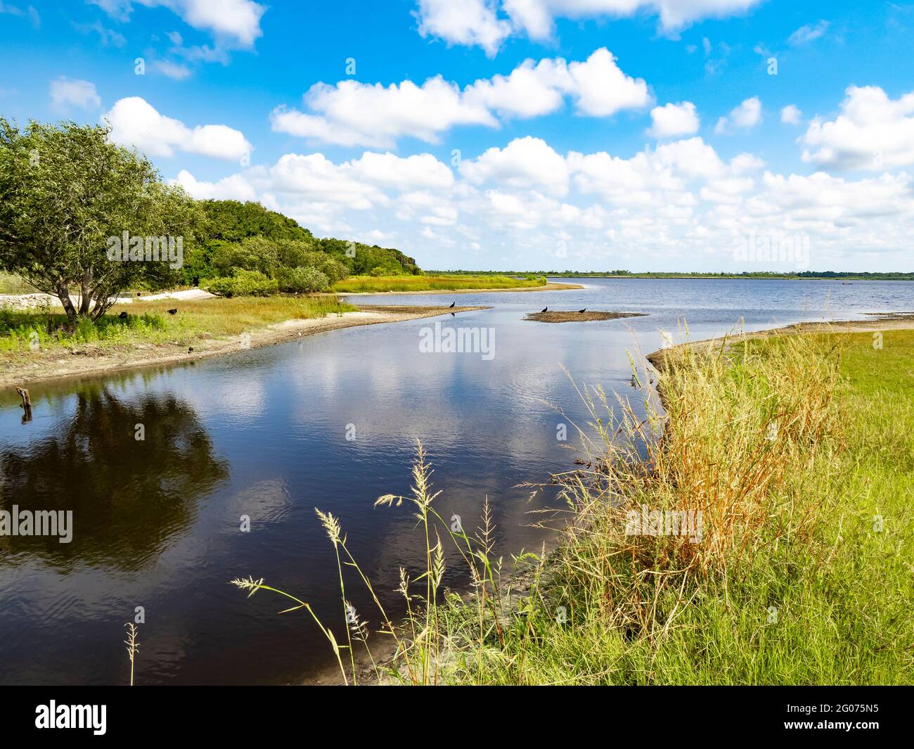 Suinny Sommertag im Myakka River im Myakka River State Park in der US-amerikanischen Stadt Stockfoto