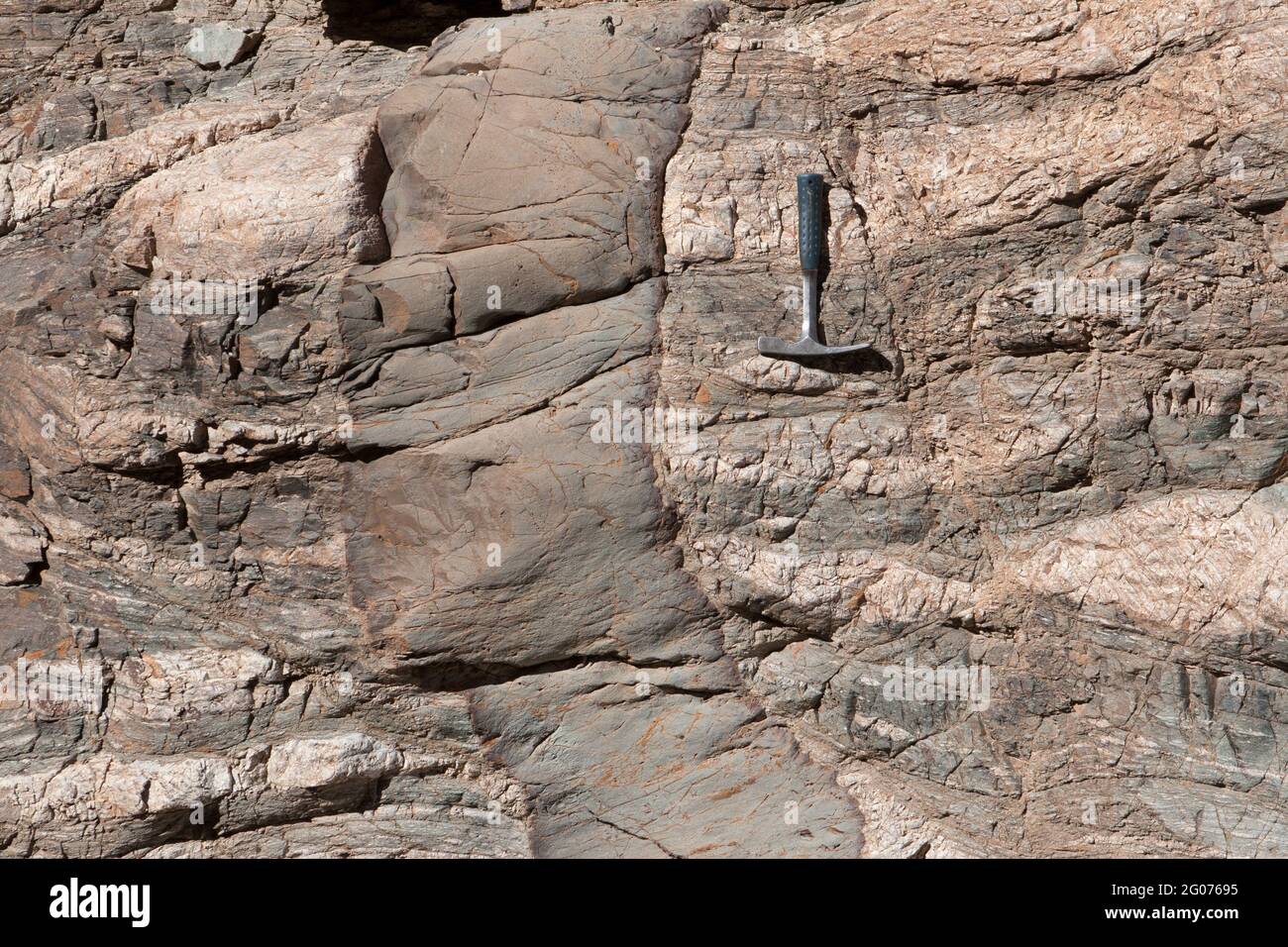 Basaltischer Deich mit gekühlten Rändern, der in metamorphes Gestein (Gneiss) eindringt, südkalifornien. Steinhammer für Waage. Stockfoto