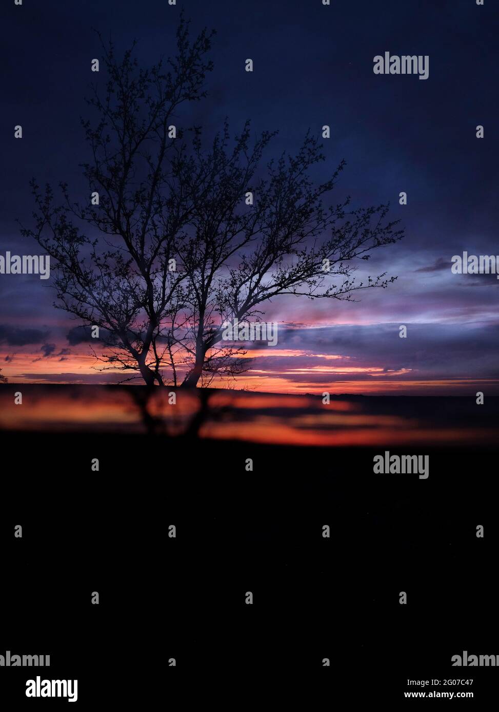 Doppelbelichtung eines Baumes am Horizont in der Great Plains Stockfoto