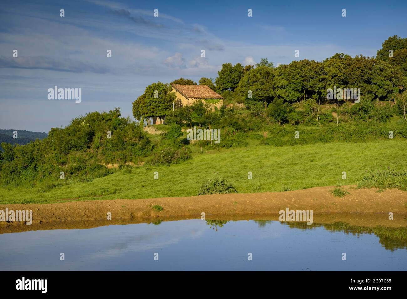 Grüne Wiesen im Frühling bei Santa Llúcia de Sobvergüt, in Lluçanès (Osona, Barcelona, Katalonien, Spanien) Stockfoto