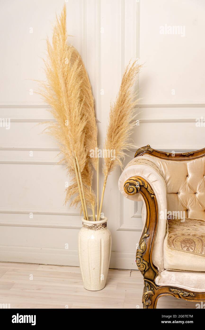 Stilvolles skandinavisches Wohnzimmer-Interieur einer modernen Wohnung mit Pampas Gras und einem gemütlichen Sofa in hellen Farben. Ein Stück beigefarbenes klassisches Sofa und Stockfoto